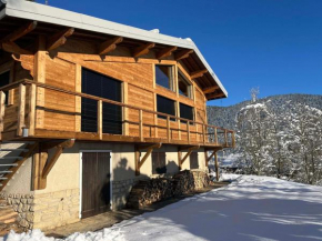 Chalet alpin de 150m² pour 12 personnes avec billard et garage à Méaudre - FR-1-737-22